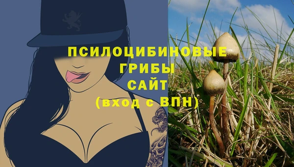 бошки Аркадак